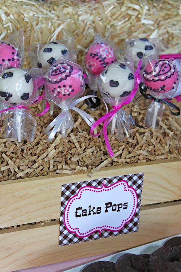 Cowgirl Party Cake Pops | Cow Girl Party Ideas