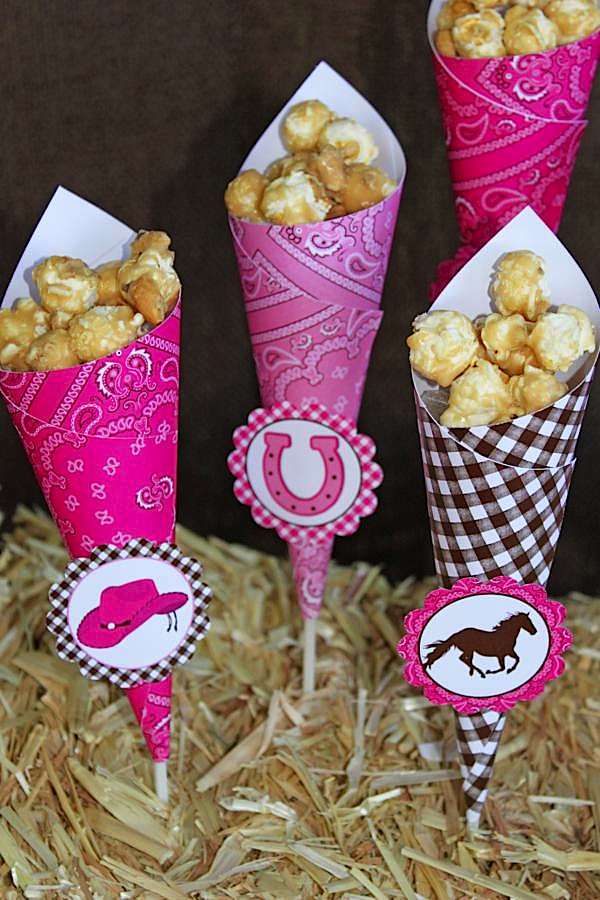 Cowgirl Themed Birthday Party Ideas