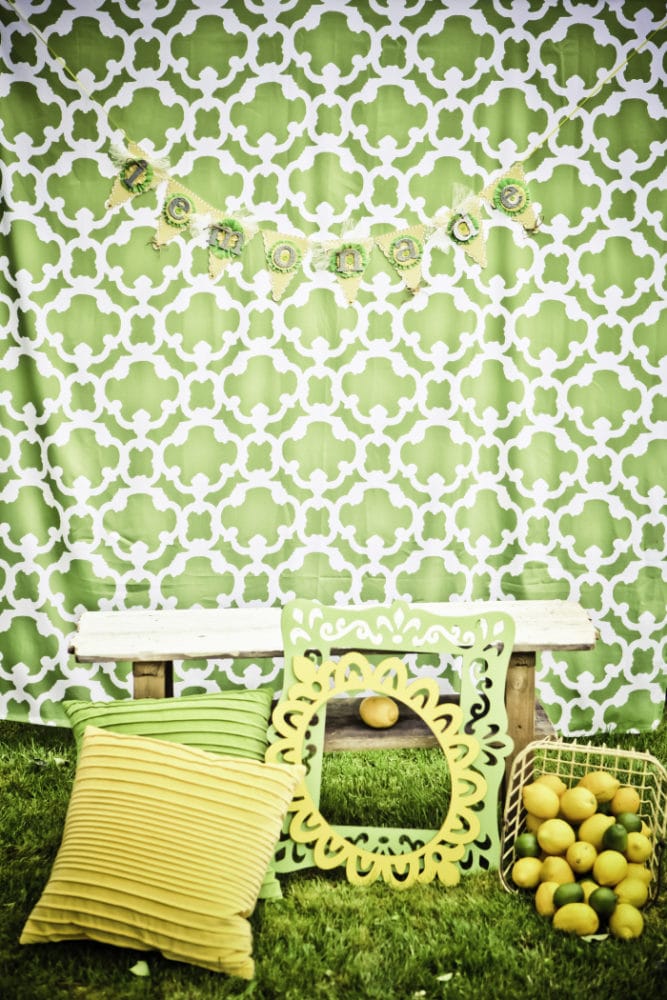 Vintage Lemon and Lime Birthday Party Photo Booth