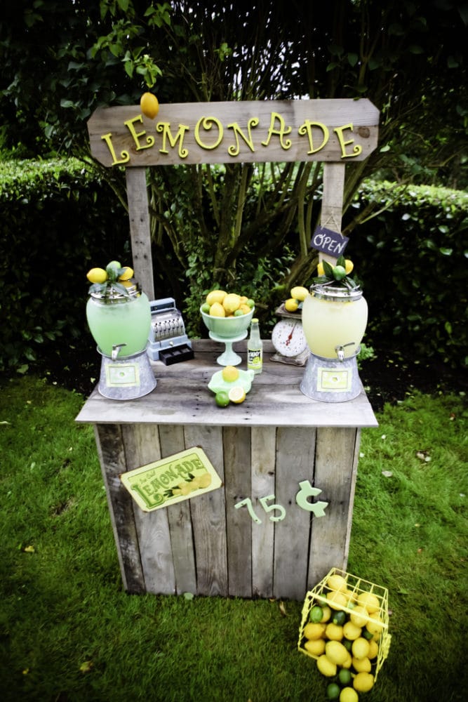 Vintage Lemon and Lime Birthday Party