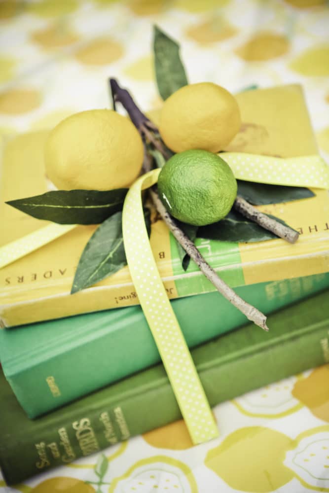 Vintage Lemon and Lime Birthday Party