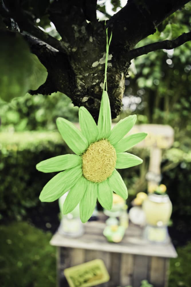 Vintage Lemon and Lime Birthday Party