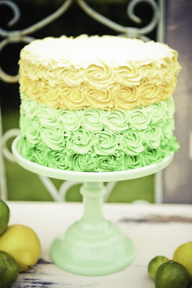 Vintage Lemon and Lime Birthday Party