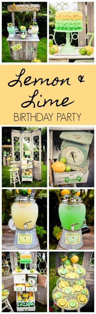 Vintage Lemon and Lime Party featured on Pretty My Party