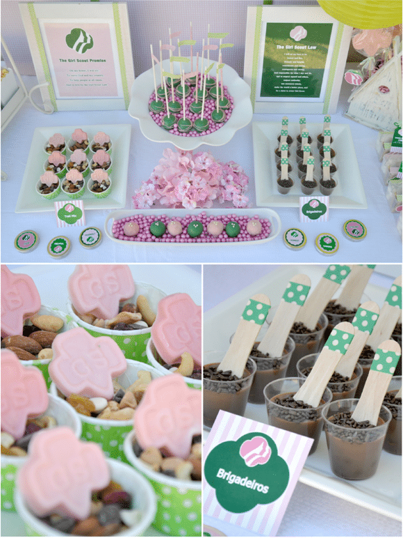 Girl Scouts Themed Party