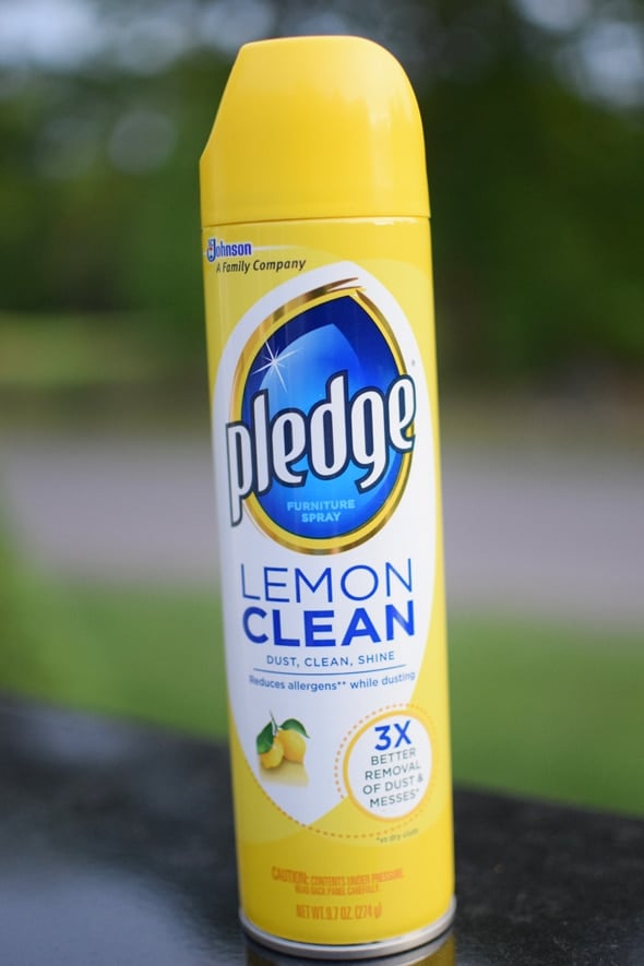 pledge-lemond-clean