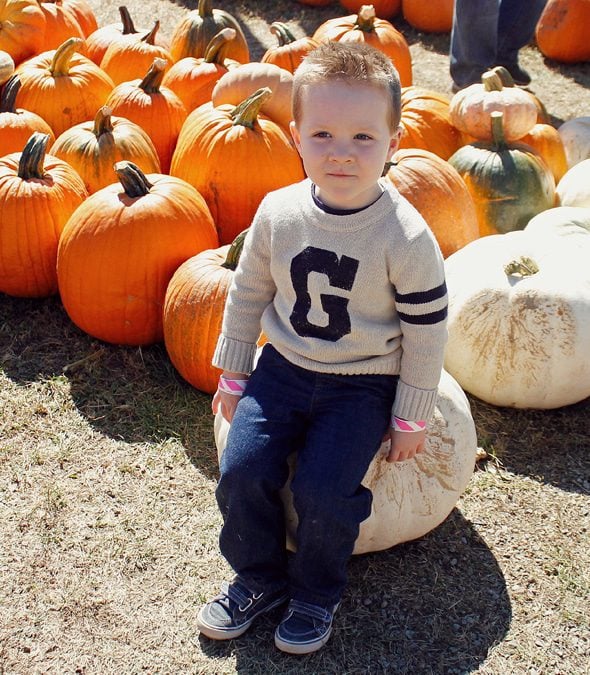 pumpkin-patch