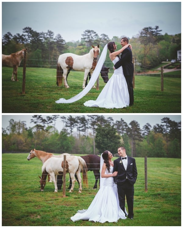 plantation-wedding-horses