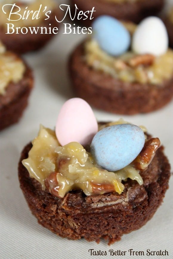 birds-nest-brownie-bites