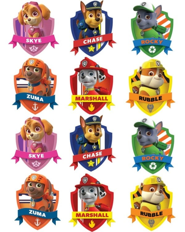 20+ Creative Paw Patrol Party Ideas | Pretty My Party