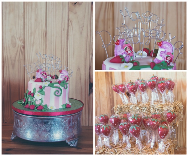 Strawberry Shortcake Farm Party | Pretty My Party