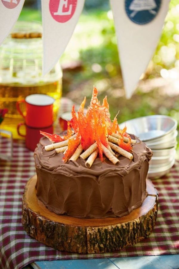 Campfire Cake, 21 Sizzling Summer Birthday Cake Ideas | Pretty My Party