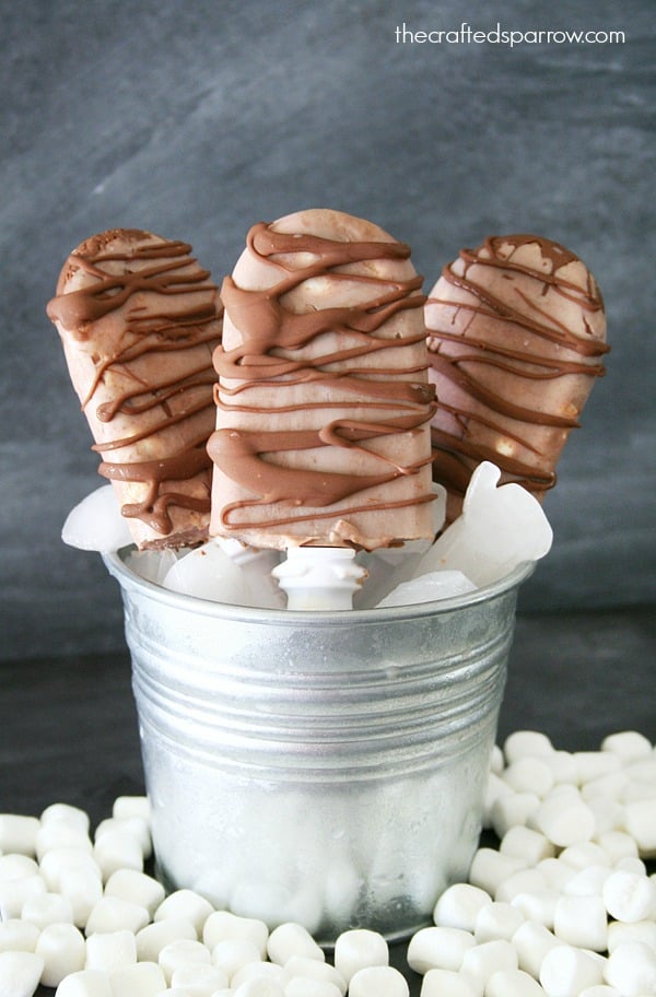 Smores Popsicles, 25 Must Have Popsicle Recipes | Pretty My Party