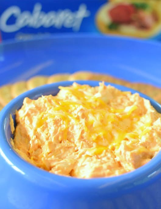 Easy Buffalo Chicken Dip Recipe