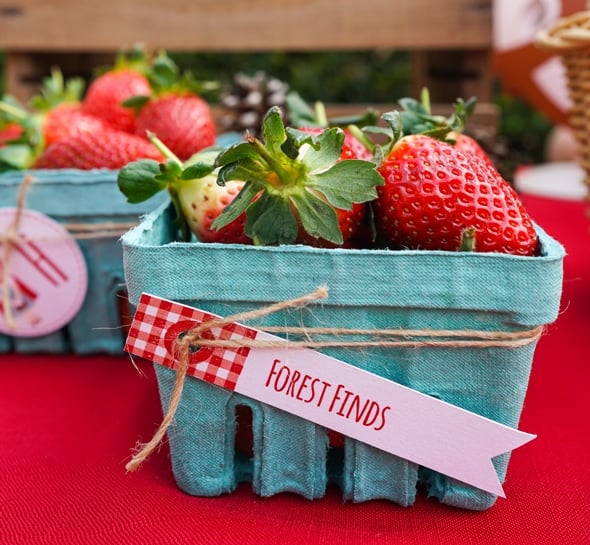 Red Riding Hood Picnic Birthday | Pretty My Party