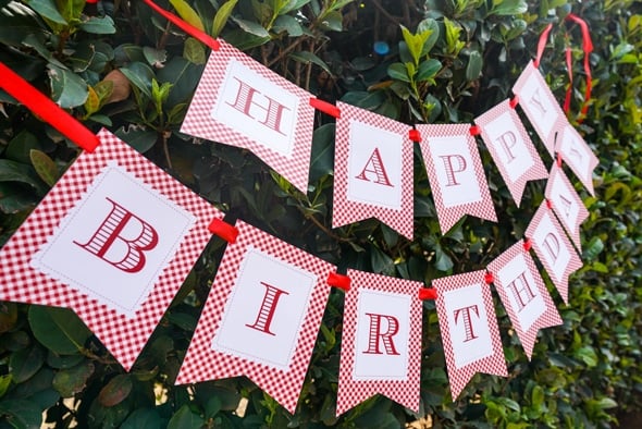 Red Riding Hood Picnic Birthday Banner | Pretty My Party