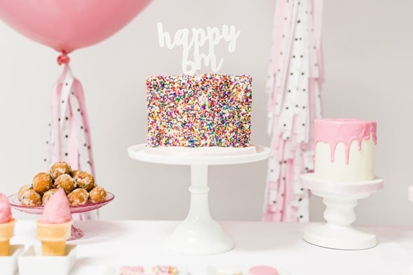 Little Sprinkles Birthday Fun Cake | Pretty My Party