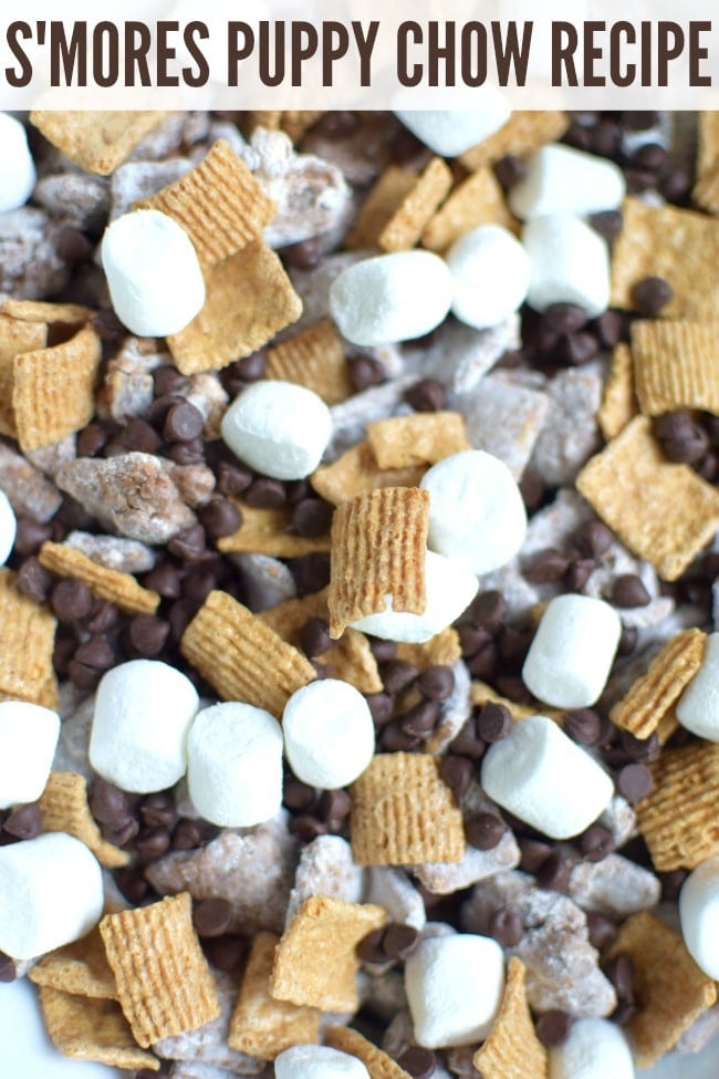 S'mores Puppy Chow Recipe | Pretty My Party