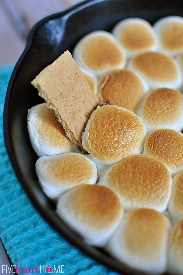 S'more Skillet Dip Recipe | Camping Party Ideas | Pretty My Party