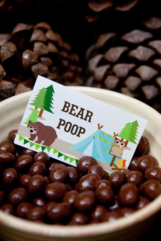 Bear Poop Camping Party Ideas | Pretty My Party