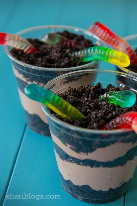 Dirt Cups | Camping Party Ideas | Pretty My Party