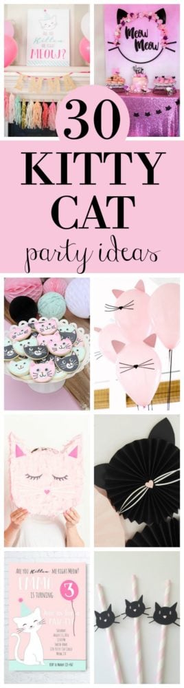 30-cute-cat-birthday-party-ideas-pretty-my-party