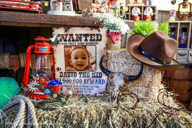 Amazing Cowboy First Birthday Party