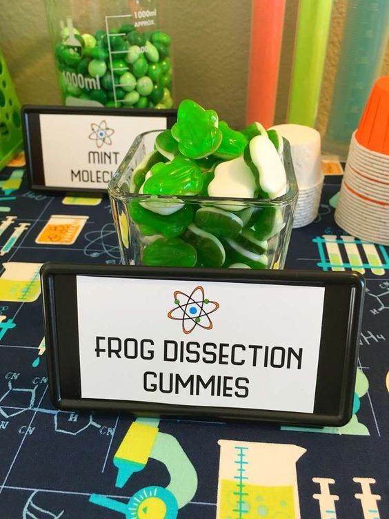 Frog Dissection Gummies | Mad Scientist Party Ideas