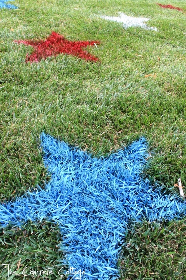Painted Lawn Stars | Labor Day Party Ideas