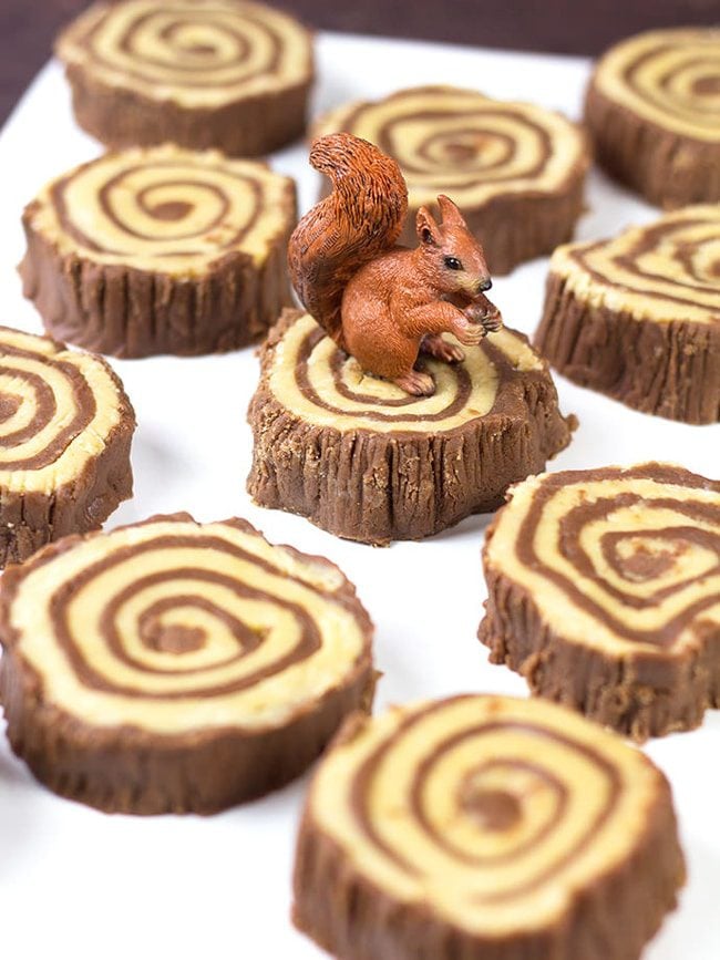 Fudge Tree Ring Recipe | Lumberjack Party Ideas