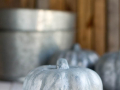 Galvanized Pumpkins