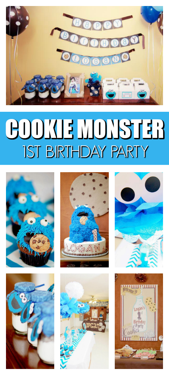 DIY Cookie Monster  Monster 1st birthdays, Cookie monster