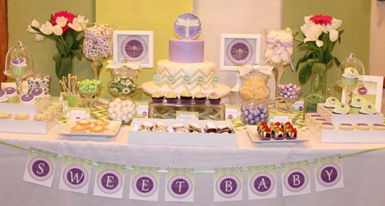 Chevron Dragonfly Baby Shower