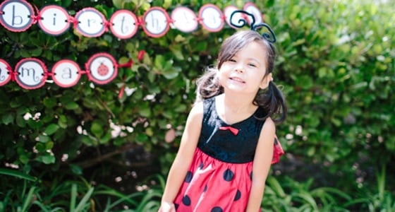 Lovely Ladybug Themed Birthday