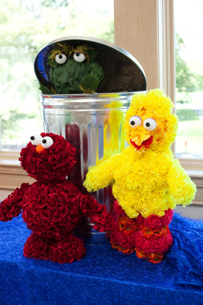 Sesame Street Birthday Party