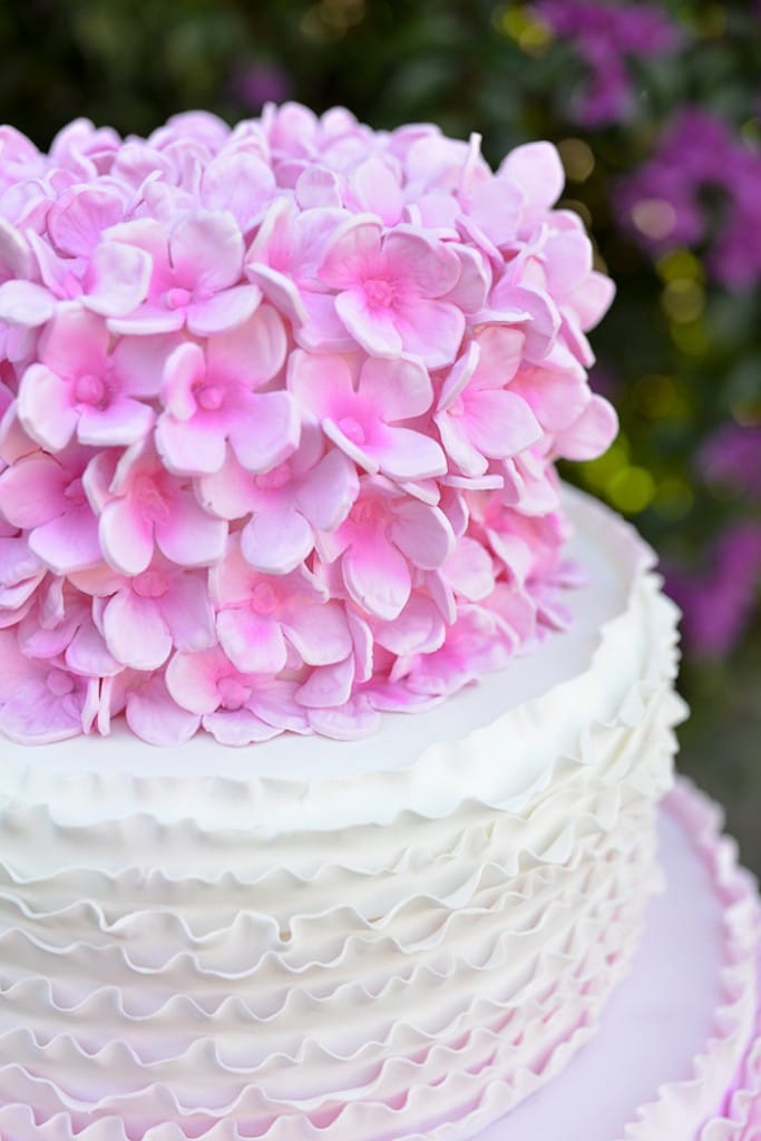 Cake Design Shoot for Edda's Cake Designs Pretty My Party