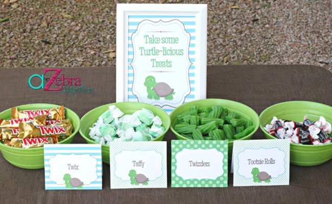 Turtle Themed Baby Shower Ideas