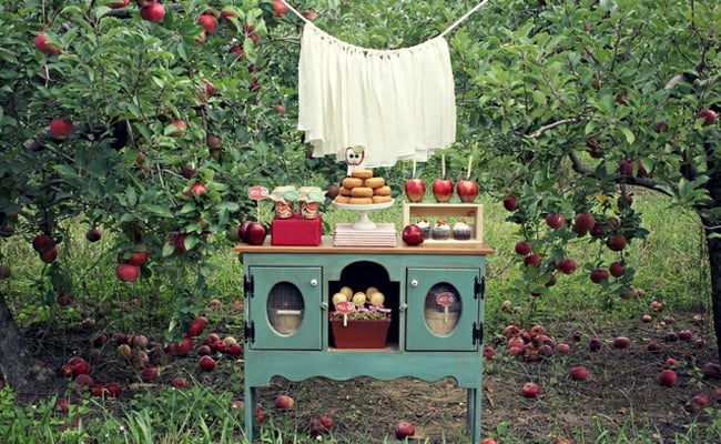 Fall Apple Picking Party