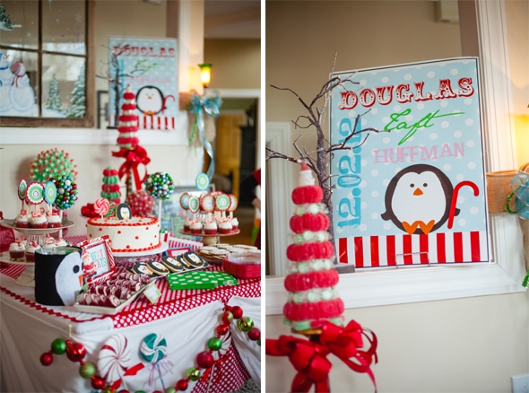 Winter Wonderland 1st Birthday Party Ideas