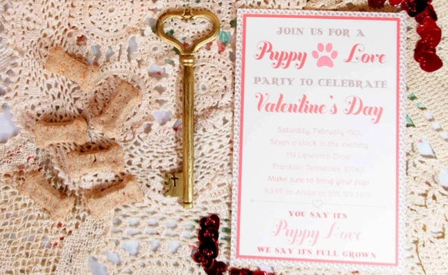 Paw-fect Puppy Love Valentine’s Day Party