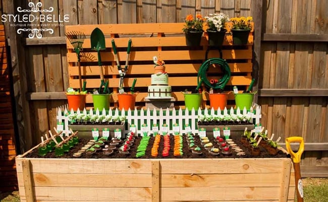 Fun & Creative Veggie Patch Birthday Party