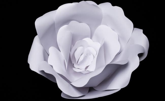 DIY Paper Flower Decorations