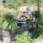 DIY Backyard Wedding - Pretty My Party