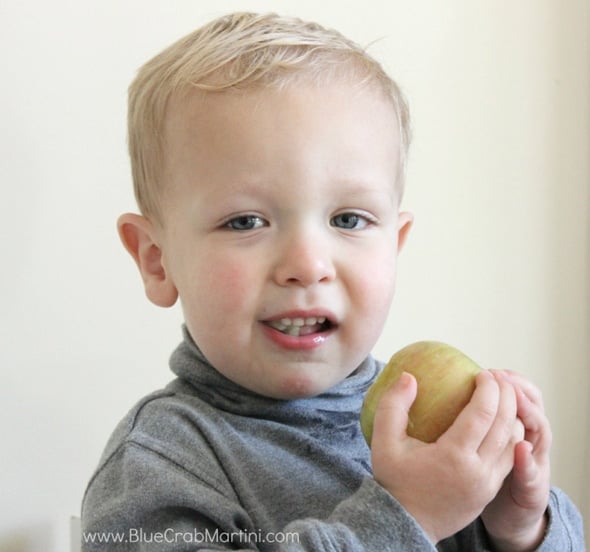 Apple Pie Pops Recipe