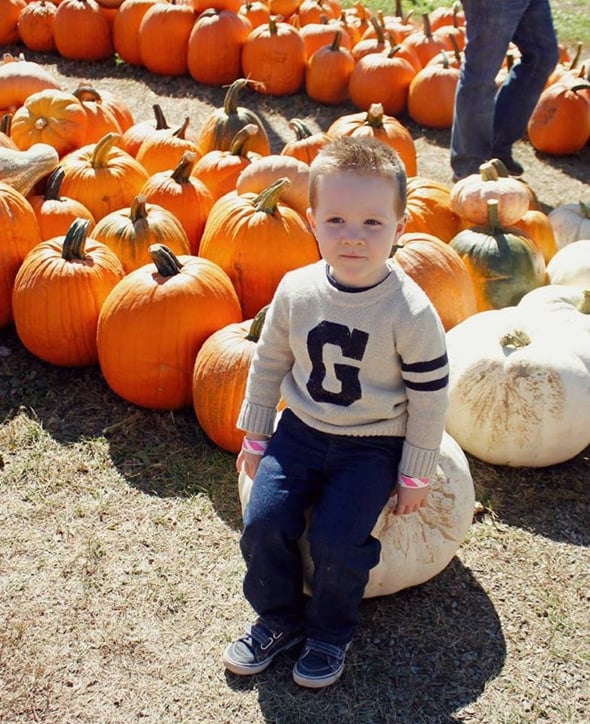 Gerber Baby Photo Search