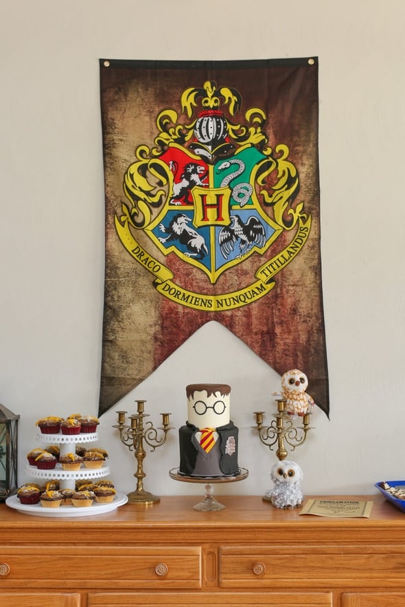 Teen Harry Potter Party