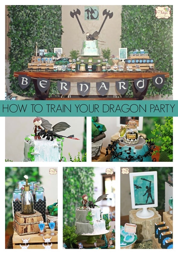 How to Train Your Dragon Party