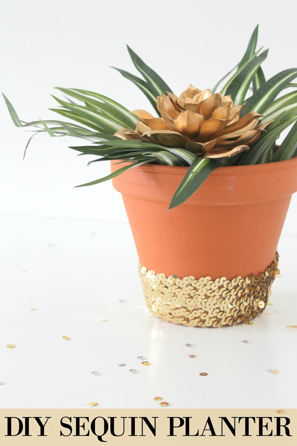 DIY Sequin Planter