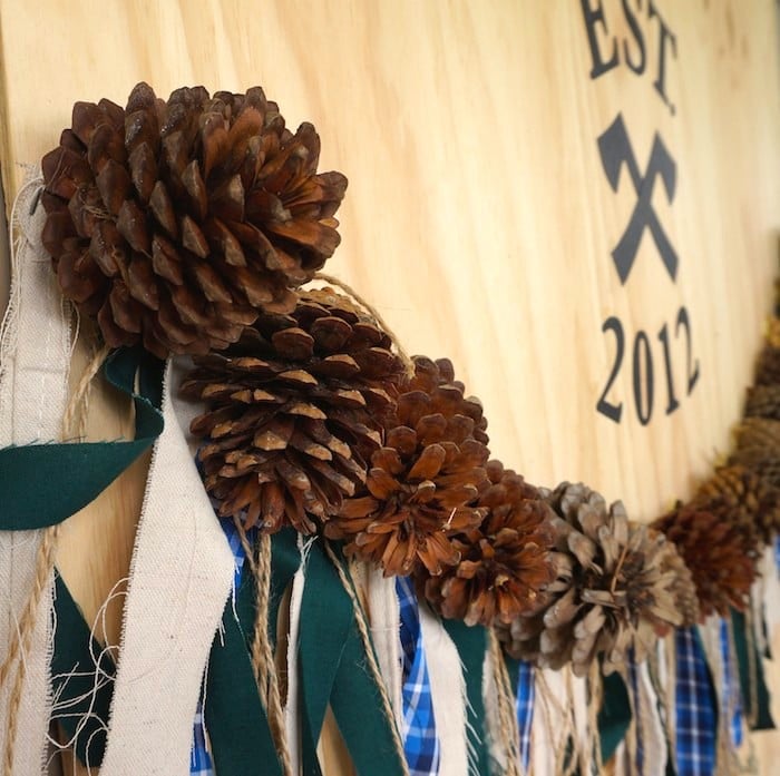 Pinecone and Fabric Fringe Banner