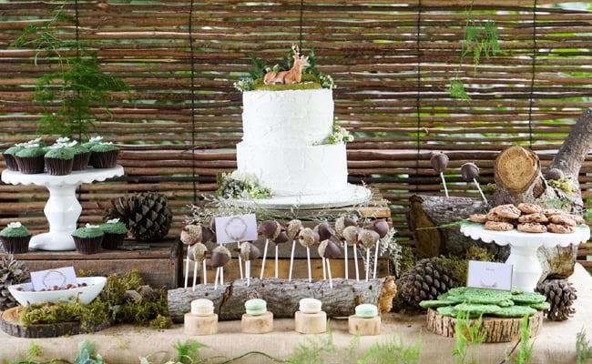 Boho Enchanted Forest Party